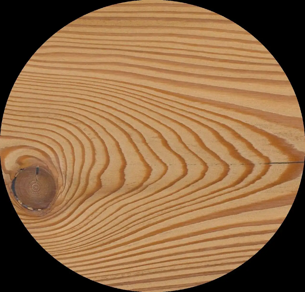 larch