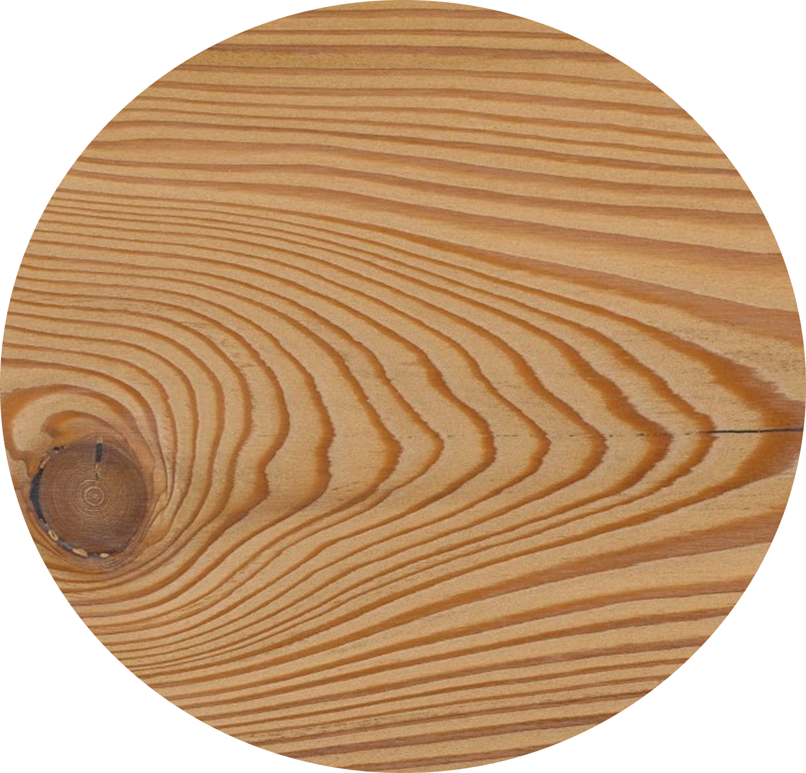 larch